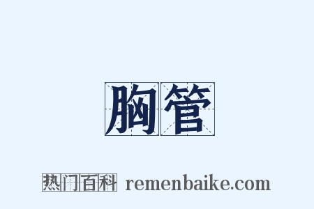 胸管是什么意思的图片